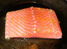 raw-salmon.jpg